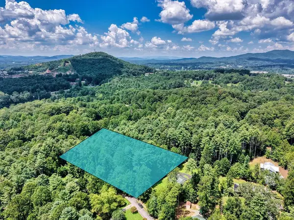 L 10&16 Josie Drive, Blairsville, GA 30512