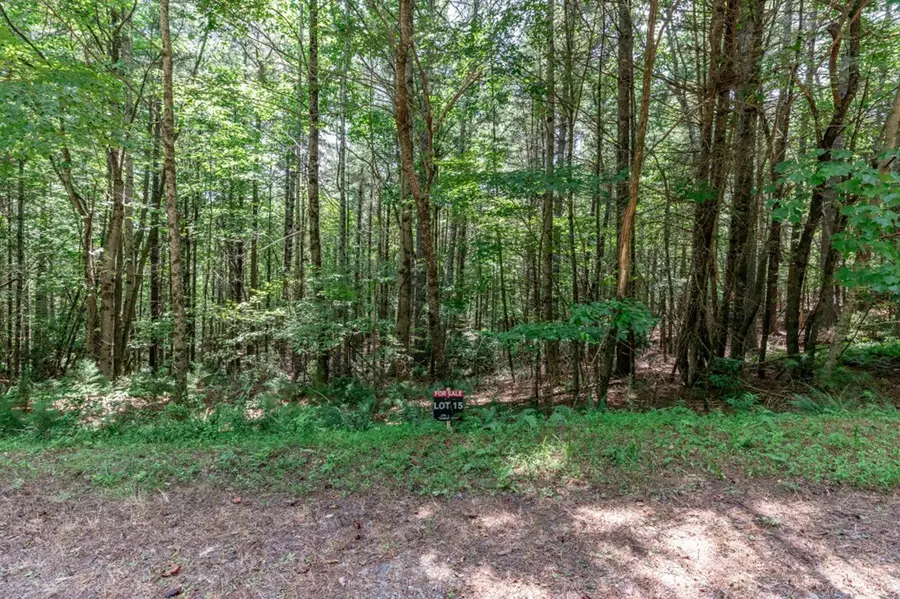 Lot 15 Rocking Chair Ridge, Mineral Bluff, GA 30559 - Image #3
