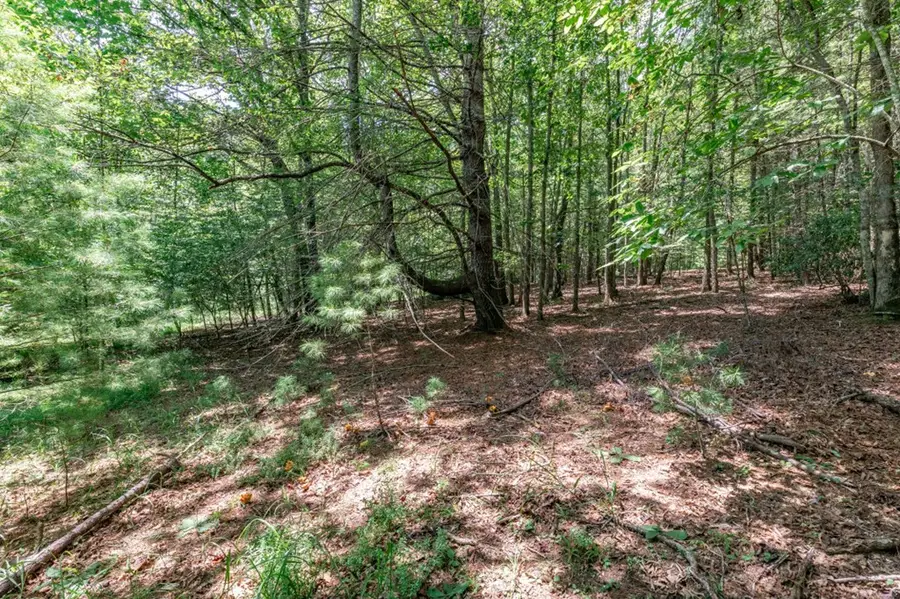 Lot 13 Rocking Chair Ridge, Mineral Bluff, GA 30559 - Image #3