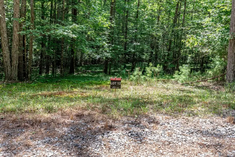 Lot 12 Rocking Chair Ridge, Mineral Bluff, GA 30559 - Image #3