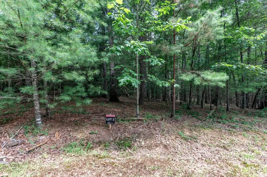 Lot 2 Rocking Chair Ridge, Mineral Bluff, GA 30559 - Image #3
