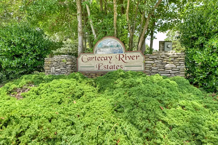 Lot 10 Cartecay River Run, Ellijay, GA 30536 - #3