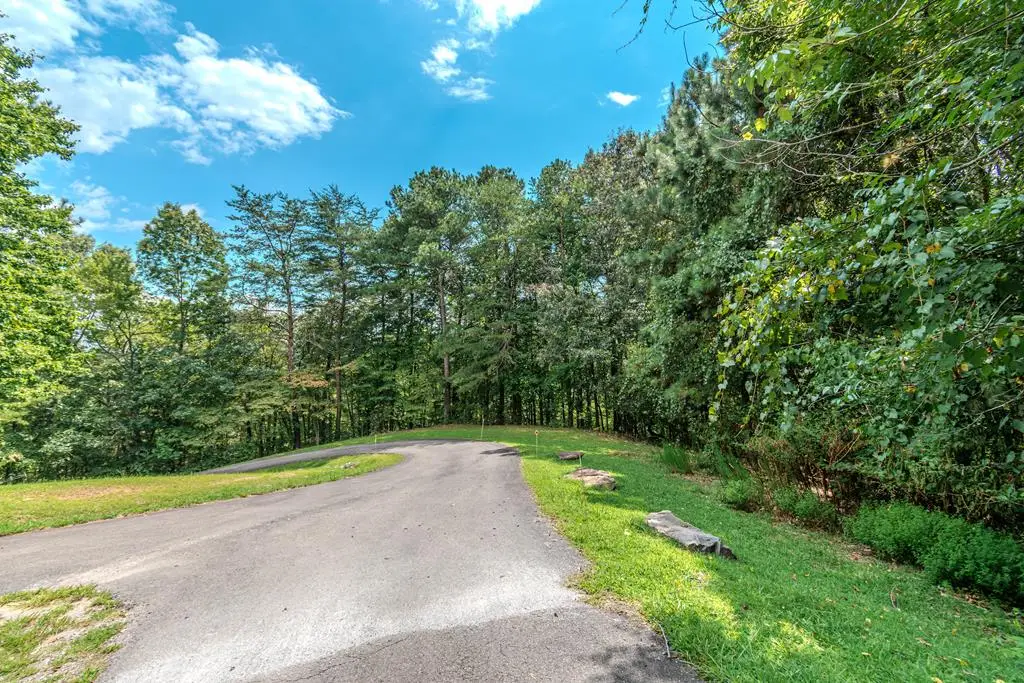Lot 103R Mountain Creek Hollow Drive, Talking Rock, GA 30175 - #1