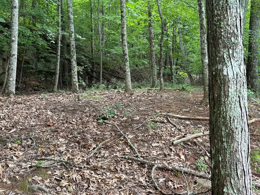 #3