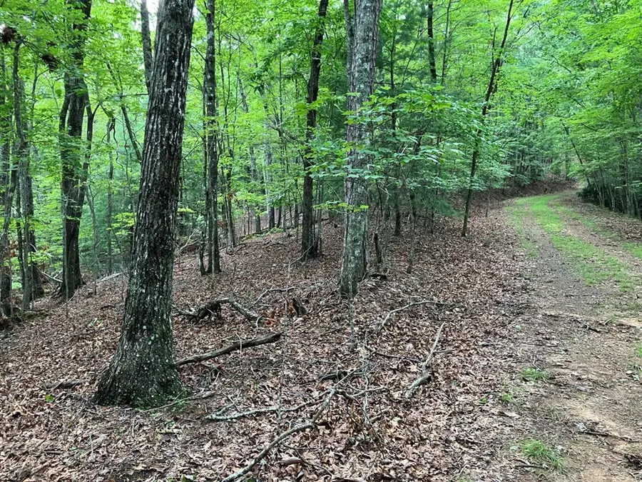#3