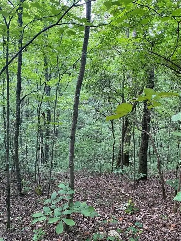 #3