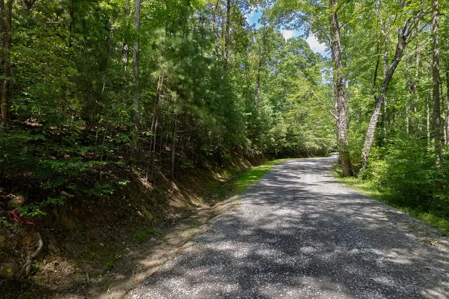 Lot 6 Heatherwood Way, Talking Rock, GA 30175 - #2