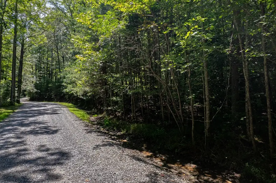 Lot 6 Heatherwood Way, Talking Rock, GA 30175 - #3