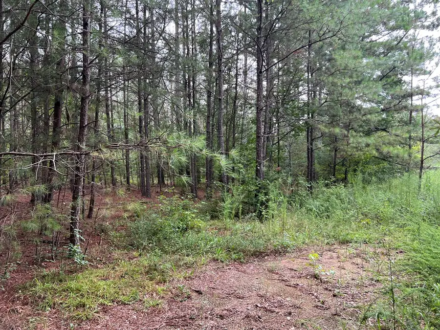 00 NW Timberwood Road, White, GA 30184 - Image #3