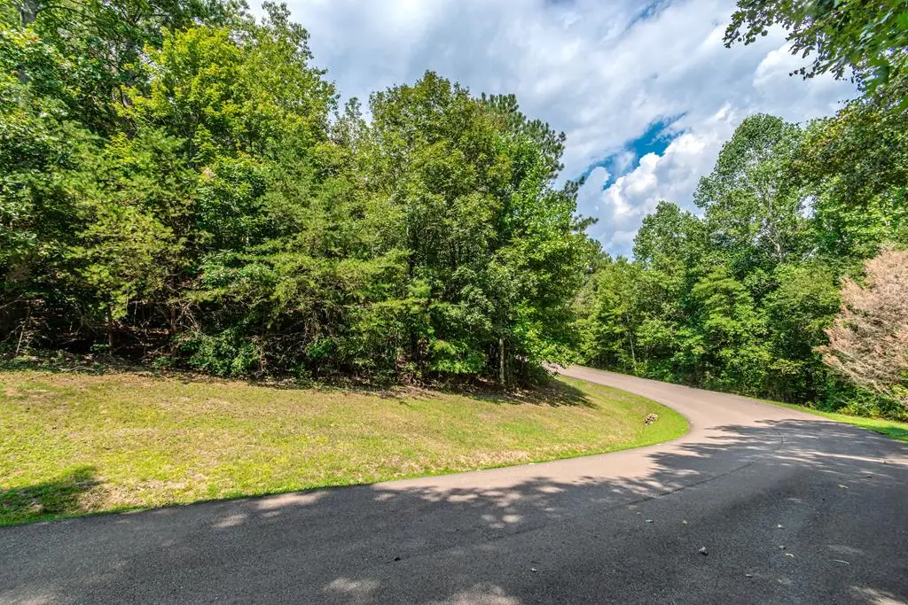 Lot 104 Mountain Creek Hollow Drive, Talking Rock, GA 30175 - Image #1