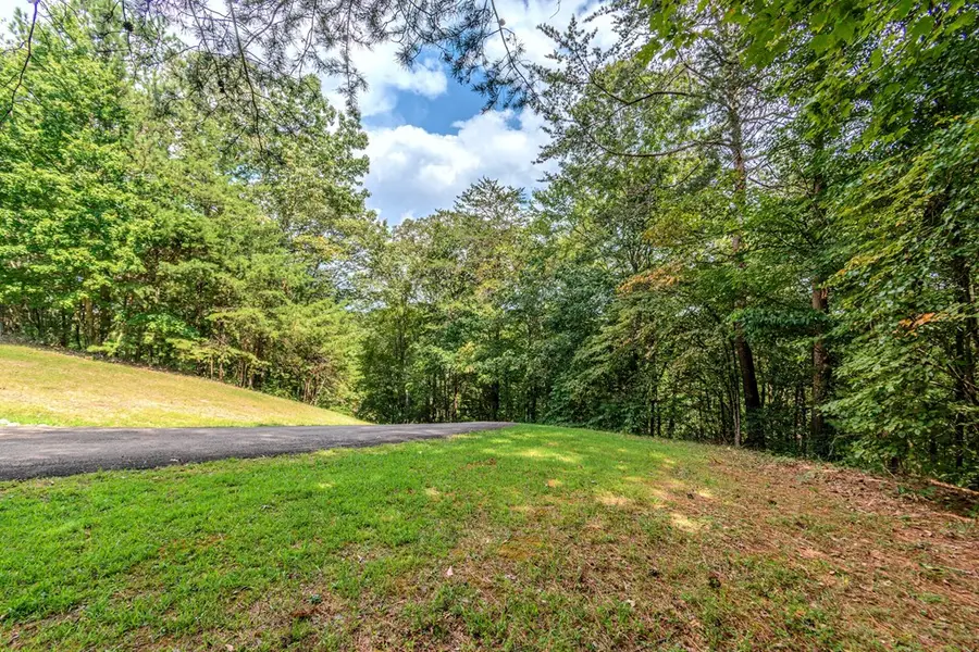 Lot 104 Mountain Creek Hollow Drive, Talking Rock, GA 30175 - Image #3