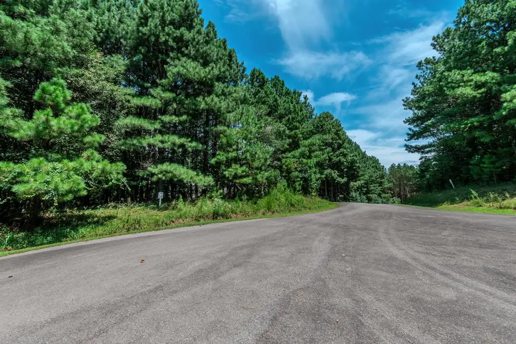 Lot 26 Foxpaw Leaf Lane, Ellijay, GA 30536 - Image #1
