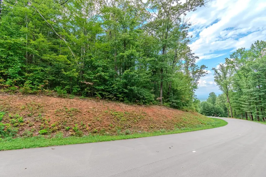 Lot 219 Stone Cliff Drive, Jasper, GA 30143 - Image #3