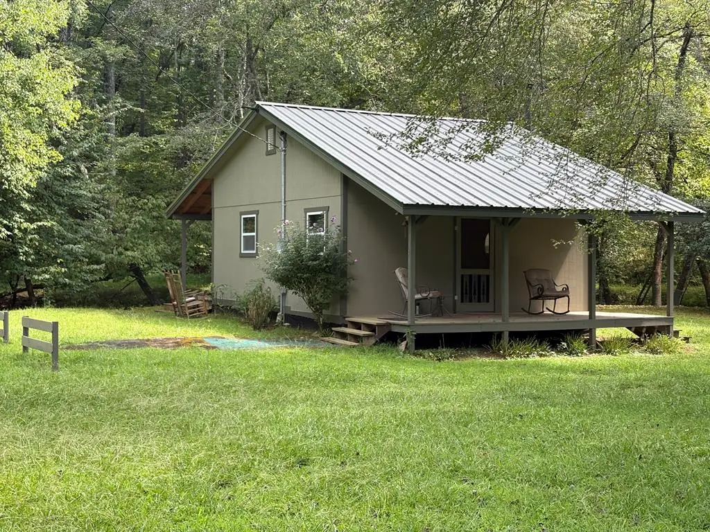 141 Friendship Lane, Mineral Bluff, GA 30559 - #1