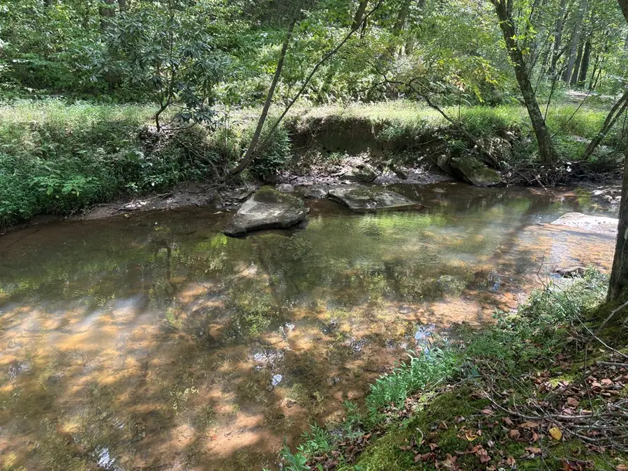 141 Friendship Lane, Mineral Bluff, GA 30559 - #2