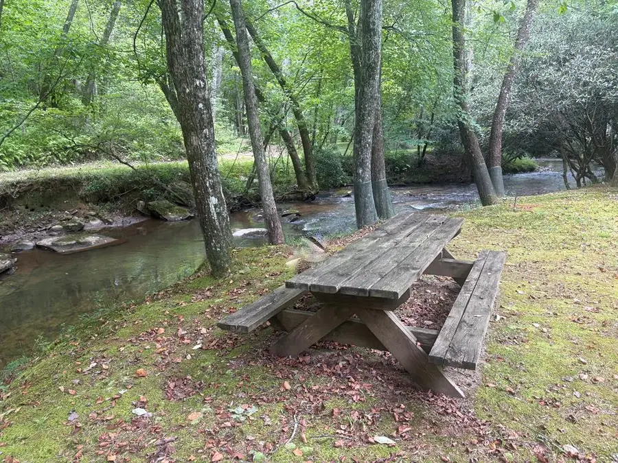 141 Friendship Lane, Mineral Bluff, GA 30559 - #3