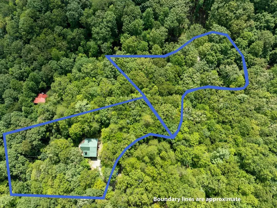 476 Prince Mountain Road, Cherry Log, GA 30522 - Image #2