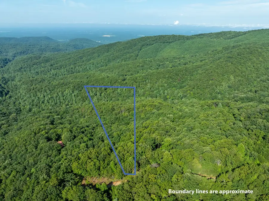 Lot 9 Brushy Top Drive, Chatsworth, GA 30705 - Image #3