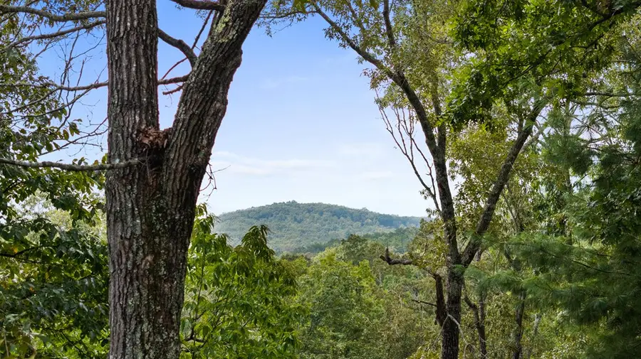 4 Shalom Lane, Blue Ridge, GA 30513 - Image #3