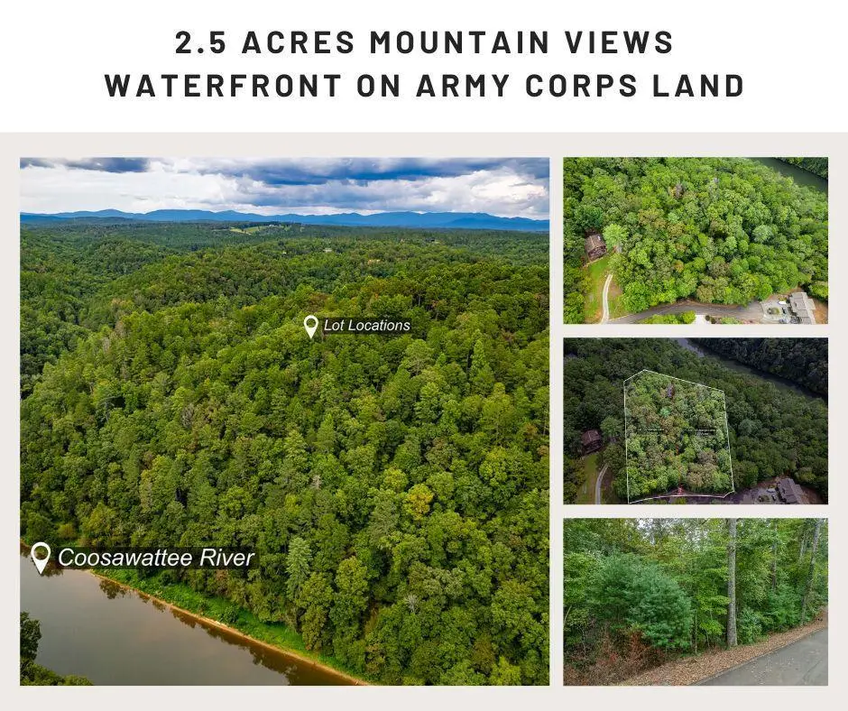 2.5 AC Mango Lane, Ellijay, GA 30540 - #1