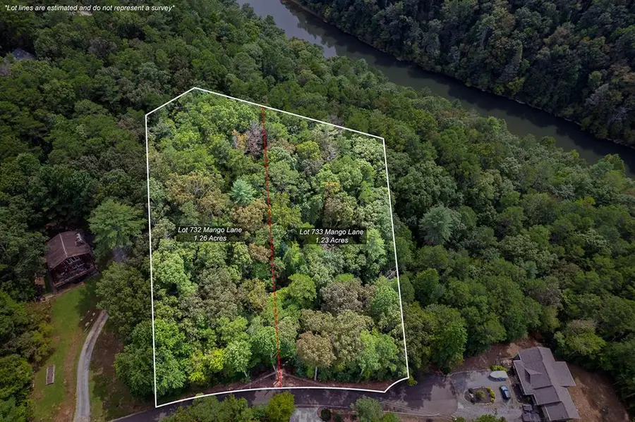2.5 AC Mango Lane, Ellijay, GA 30540 - #3