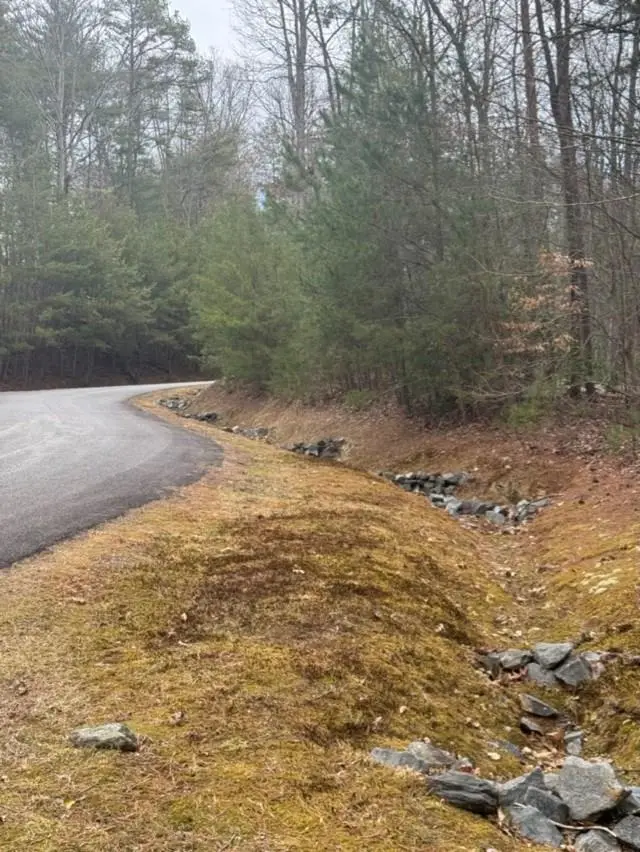 16R Leatherwood Mountain Road, Cherry Log, GA 30522 - Image #1