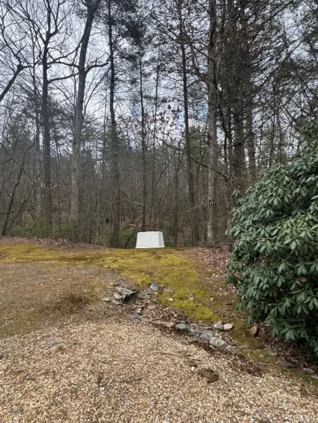 16R Leatherwood Mountain Road, Cherry Log, GA 30522 - Image #3