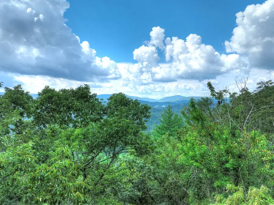 1362 Cherry Log Street, Cherry Log, GA 30522 - Image #3