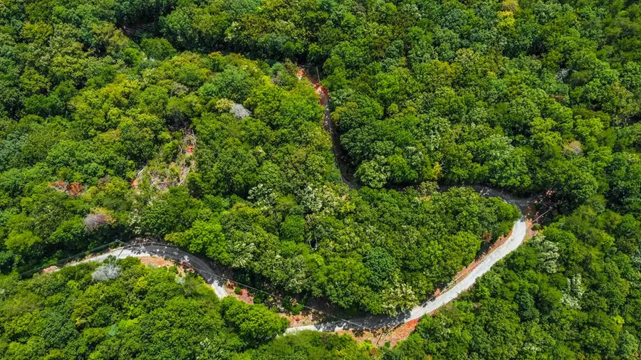 4.69 AC Rockwater Road, Cherry Log, GA 30522 - Image #3