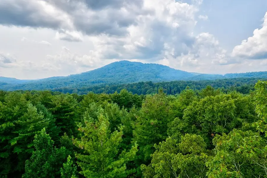 21 Ac Bear Hollow Drive, Mineral Bluff, GA 30559 - Image #2