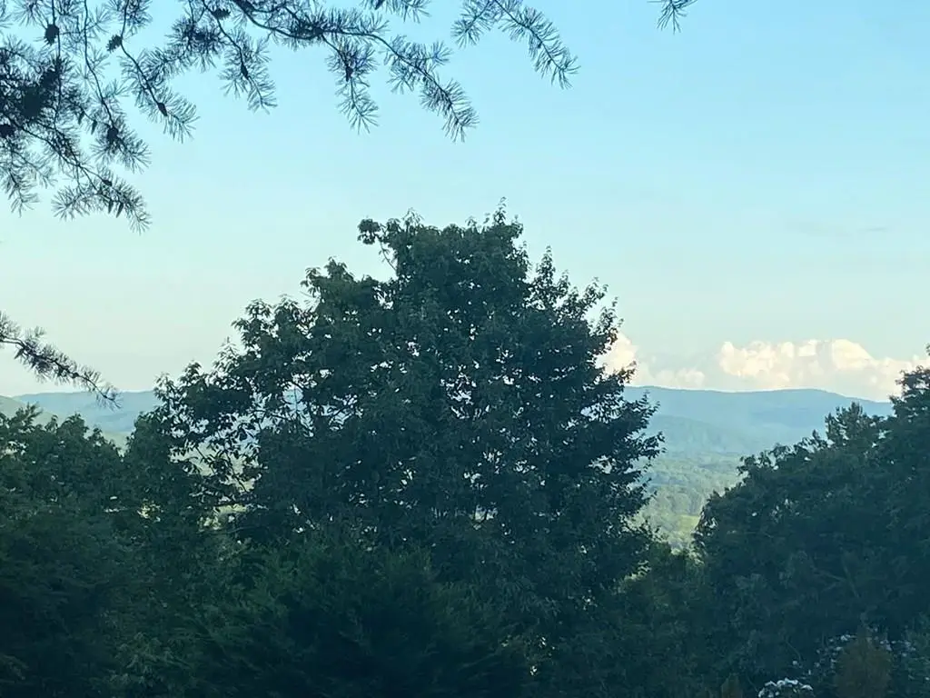 Lot 58 Cherokee Circle, Ellijay, GA 30536 - Image #1