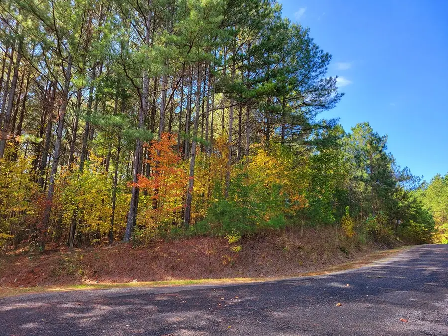 LOT 6 Black Bear Ridge Road, Ellijay, GA 30536 - Image #2