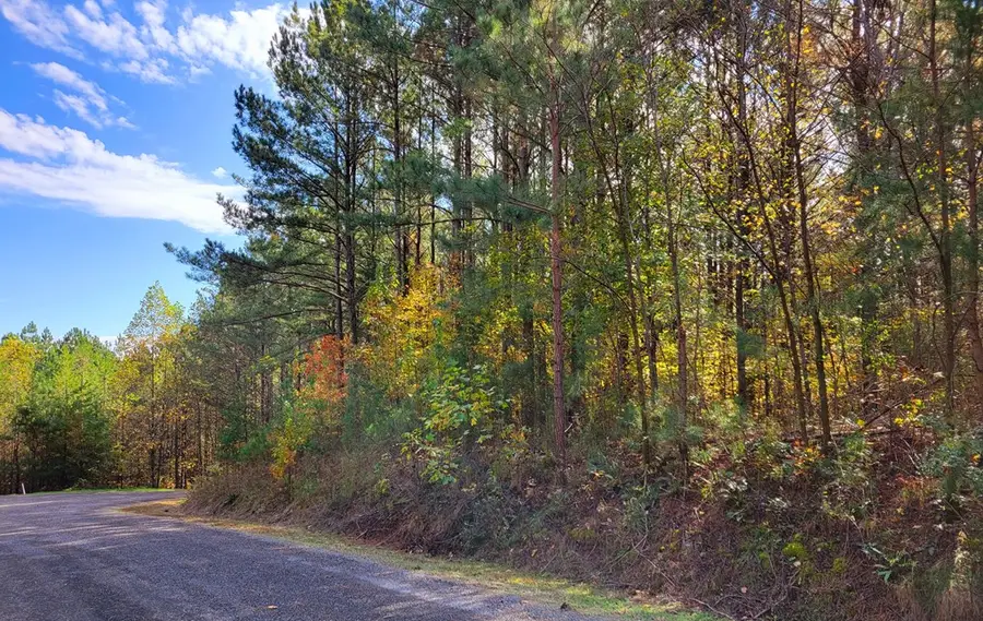 LOT 6 Black Bear Ridge Road, Ellijay, GA 30536 - Image #3