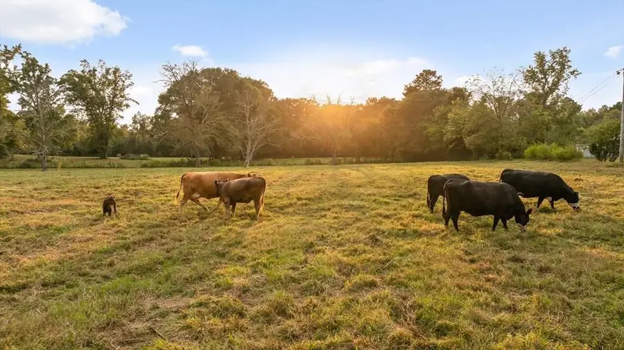 446 Brown Bridge Road, Chatsworth, GA 30705 - Image #2