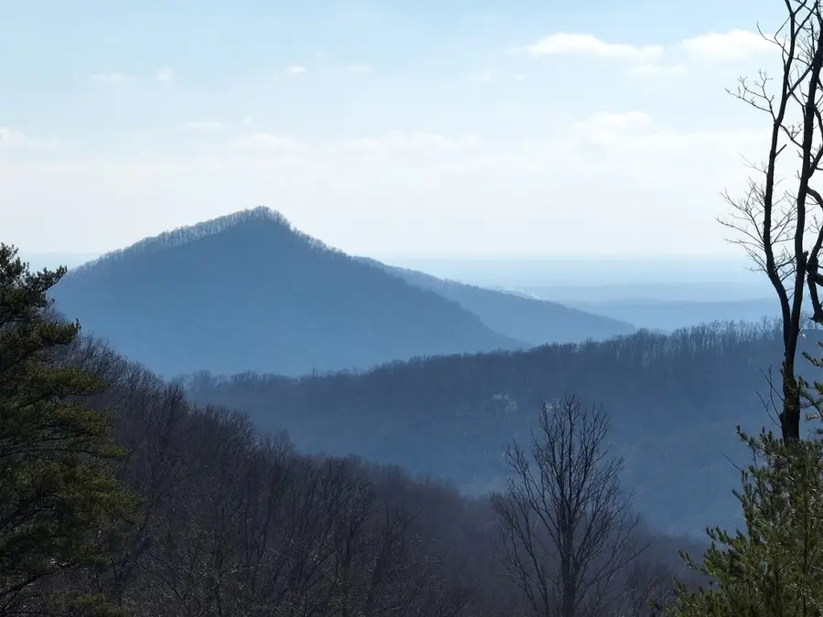 246 Andes Ridge, Ellijay, GA 30536 - Image #3