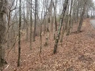 #2