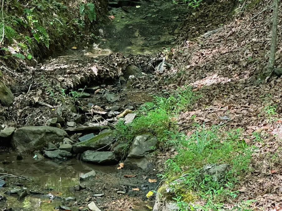 Lot 57 Asheland Cove Drive, Young Harris, GA 30582 - Image #2