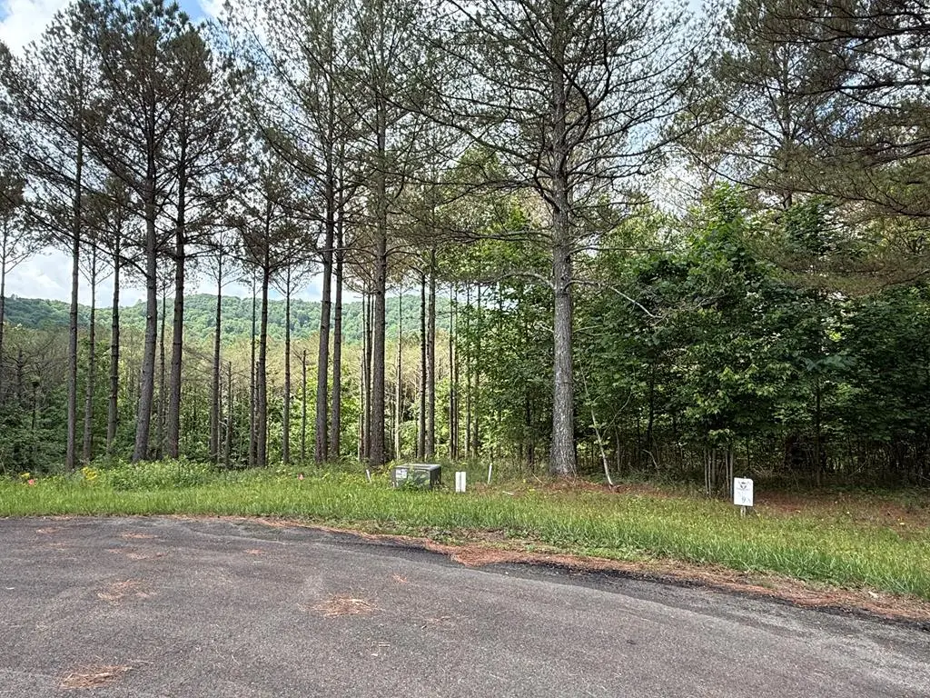 Lot 9 Eastview Trail, Ellijay, GA 30536 - Image #1
