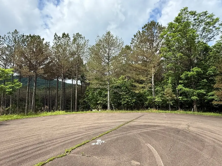 Lot 9 Eastview Trail, Ellijay, GA 30536 - Image #2