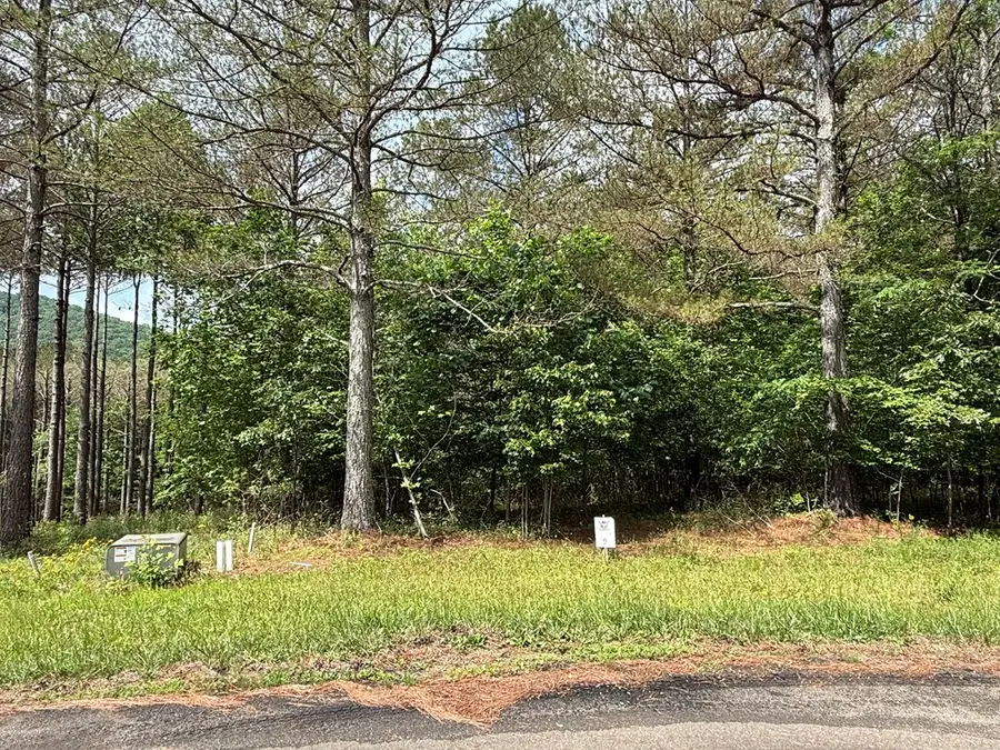 Lot 9 Eastview Trail, Ellijay, GA 30536 - Image #3