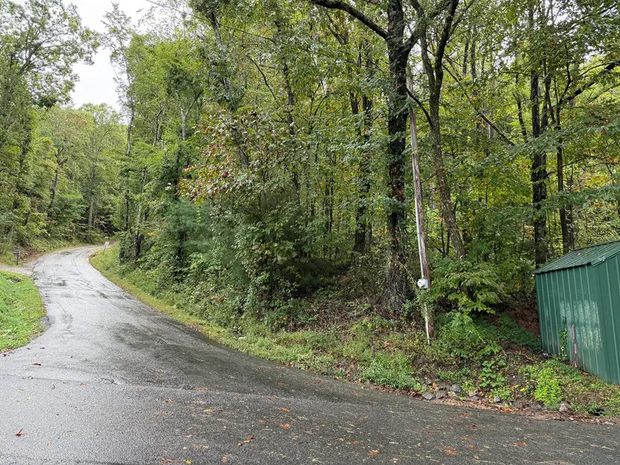 Lot 12 Rainbow Ridge, Hiawassee, GA 30546 - #3