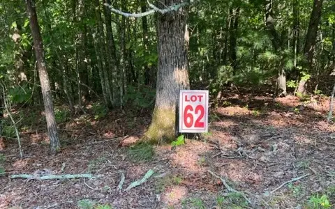 LT61&62 Honeysuckle Way, Ellijay, GA 30540 - Image #2