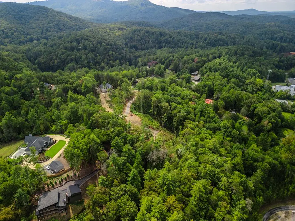 Tract 3 Old Northcutt Road, Ellijay, GA 30536 - #1