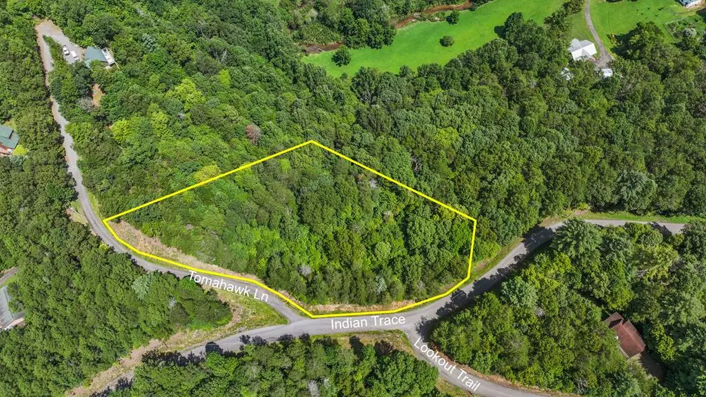 Lot 41 Tomahawk Lane, Mineral Bluff, GA 30559 - #1