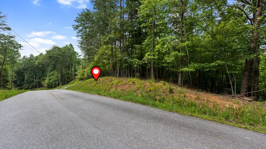 Lot 41 Tomahawk Lane, Mineral Bluff, GA 30559 - #3