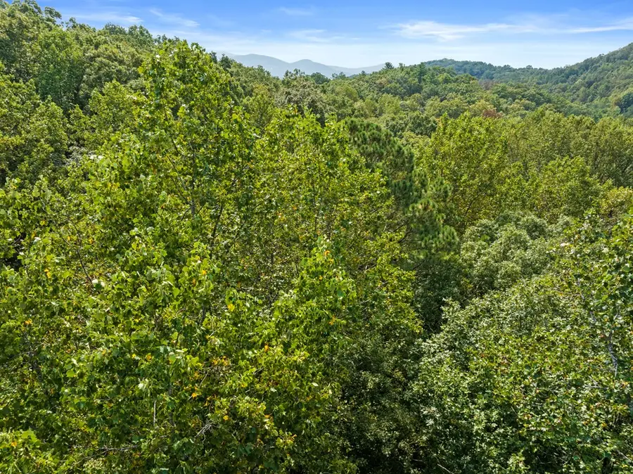 23 B Lake View Road, Cherry Log, GA 30522 - #2