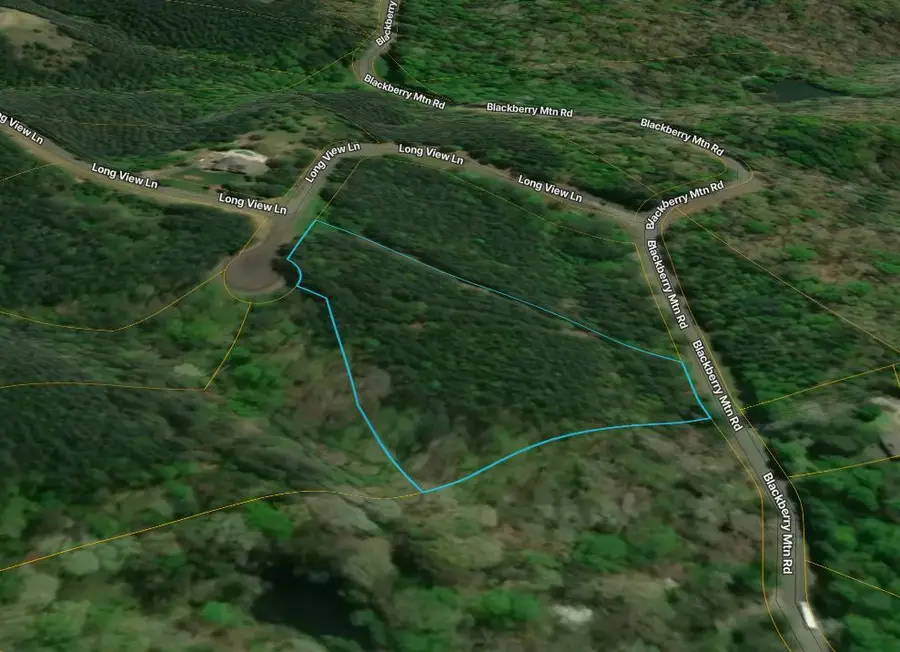 0 Oval Leaf Lane, Ellijay, GA 30536 - Image #2