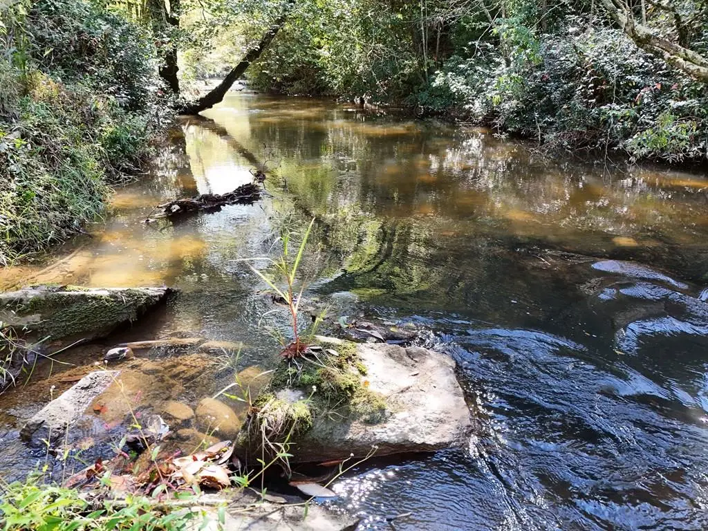 Lt 27/28 Donna Lee Lane, Mineral Bluff, GA 30559 - #1