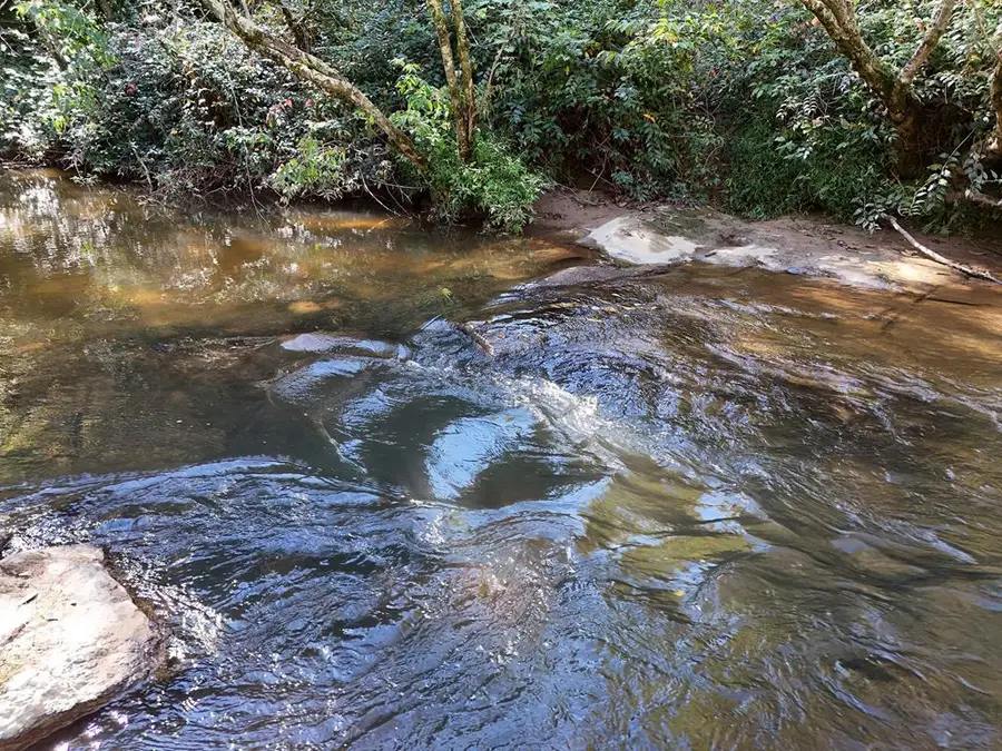 Lt 27/28 Donna Lee Lane, Mineral Bluff, GA 30559 - #2