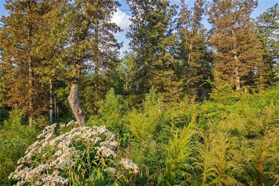 0 High River Road, Ellijay, GA 30540 - Image #3